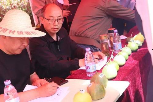 济宁俱乐部吃瓜,揭秘吃瓜群众的欢乐盛宴